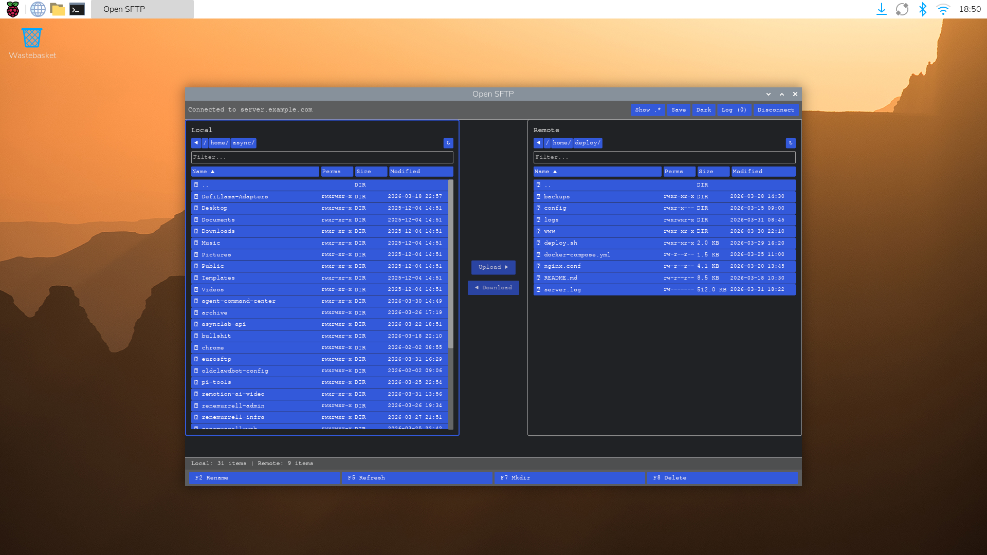 Open SFTP file browser with dual-pane layout, local and remote files side by side